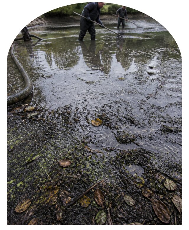 Очистка пруда в Абакане от ила мусора и водорослей с вывозом